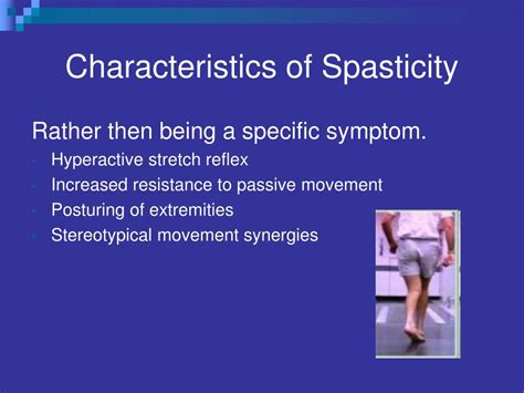 PPT - Spasticity What Causes it and Can it be Inhibited? PowerPoint ...