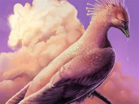 Phoenix by Peter Grant | Magical creatures, Pink bird, Bird