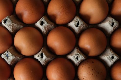 Brown Eggs Free Stock Photo - Public Domain Pictures