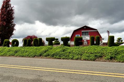 danger garden: Bountiful Farms, accidentally....