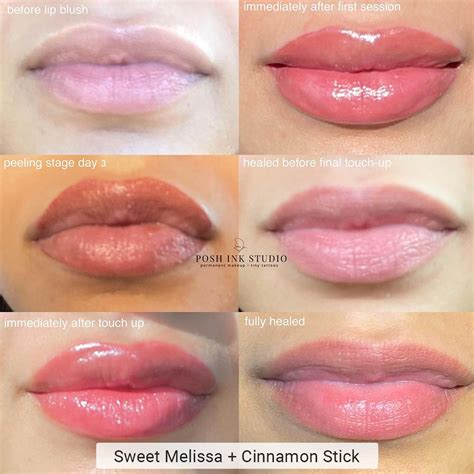 Perma Blend Lips Healed - How Top Pigment Shades Heal