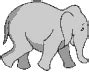 Free Elephant Animations - Elephant Clipart - Gifs