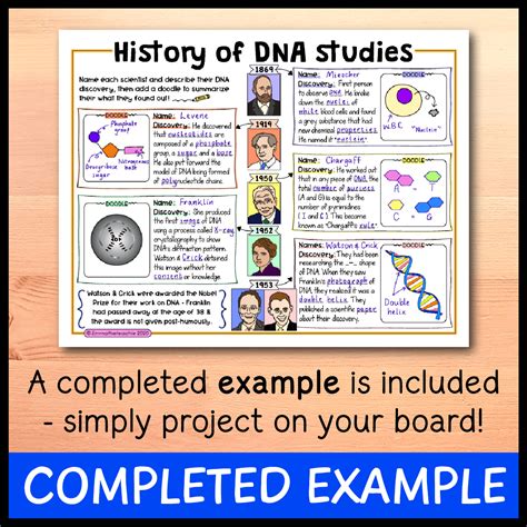 The Structure of DNA Doodle Notes - Emmatheteachie