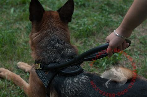 German Shepherd Guide & Assistance Leather Dog 【Harness】 with Long Handle : German Shepherd ...