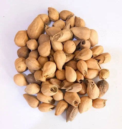 Gmelina Arborea Seeds, Packaging Type: PP Bag at Rs 2487.39/kg in Dehradun | ID: 14184153962