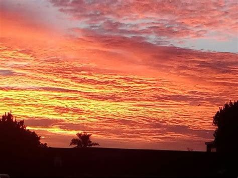 Glorious Sunrise: Alameda Photo Of The Day | Alameda, CA Patch