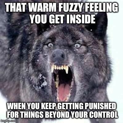 Angry Wolf Memes - Imgflip