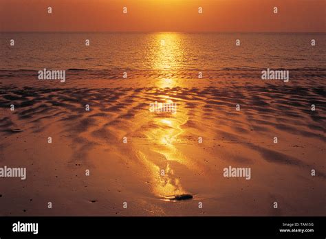 Sunset on Tithal beach, Gujarat, India, Asia Stock Photo - Alamy