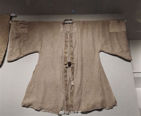 Chinese Ming Dynasty Clothing Hanfu Cultural Relic:镶金襟方领短袖夹衫 in 2022 | Dynasty clothing, Ming ...