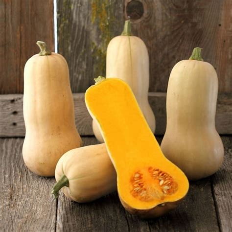 Organic Waltham Butternut Squash - 4 g ~25 Seeds - Non-GMO, Open Pollinated, Heirloom, Vegetable ...