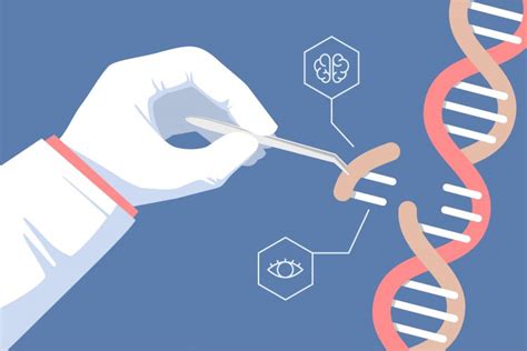 WHO publishes recommendations on human genome editing