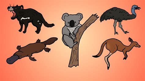 Животные австралии картинки для детей