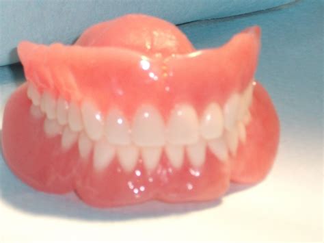 Denture Definition Biology at Coleen Chung blog