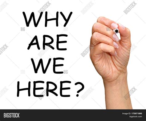 Why We Here - Female Image & Photo (Free Trial) | Bigstock