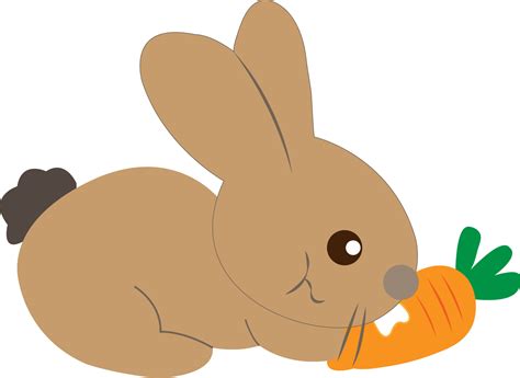 Brown rabbit eating carrots isolated on white background. 11062197 Vector Art at Vecteezy