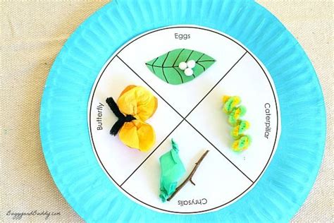 Butterfly Life Cycle Paper Plate Craft | Butterfly life cycle craft ...