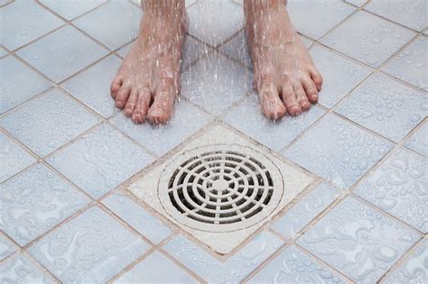 9 Common Causes of Clogged Drains and Solutions | Tips from Your New Orleans, LA Drain Cleaning ...