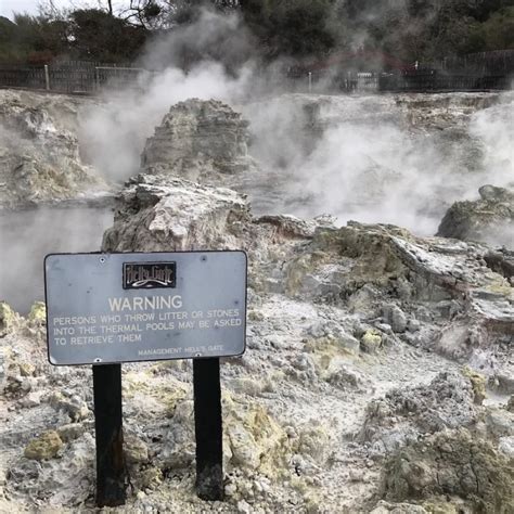 SNEAK PEEK INSIDE HELLS GATE ROTORUA THERMAL PARK