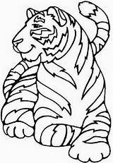 Animal Coloring Pages For Kids  Art & Craft sketch template