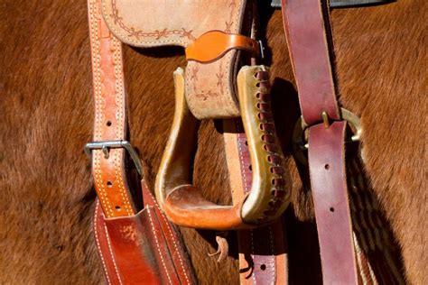 7 Best Stirrups for Trail Riding in All-Day Comfort - Horse Rookie