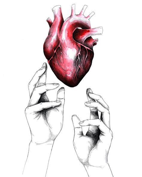 Julia on Instagram: “Try to reach the beating heart ... #anatomical #heart #ink #illustration ...