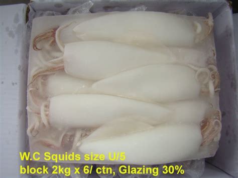 Frozen Whole Cleaned Squid,Taiwan price supplier - 21food