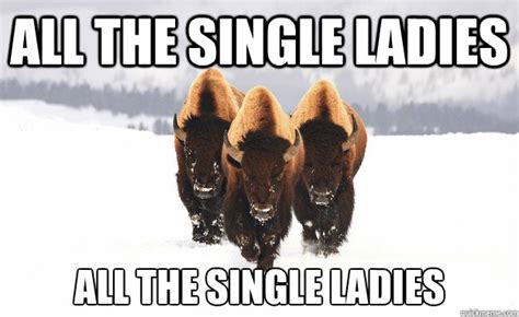 ALL THE SINGLE LADIES ALL THE SINGLE LADIES - Bisonc - quickmeme