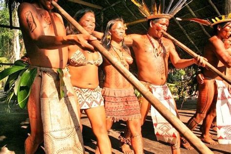 Indigenous People of Brazil fight for their future | MR Online