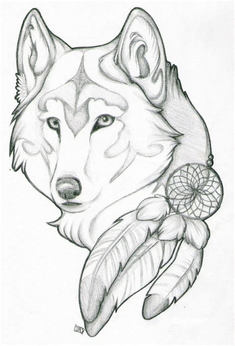 Wolf Drawing Easy at PaintingValley.com | Explore collection of Wolf Drawing Easy