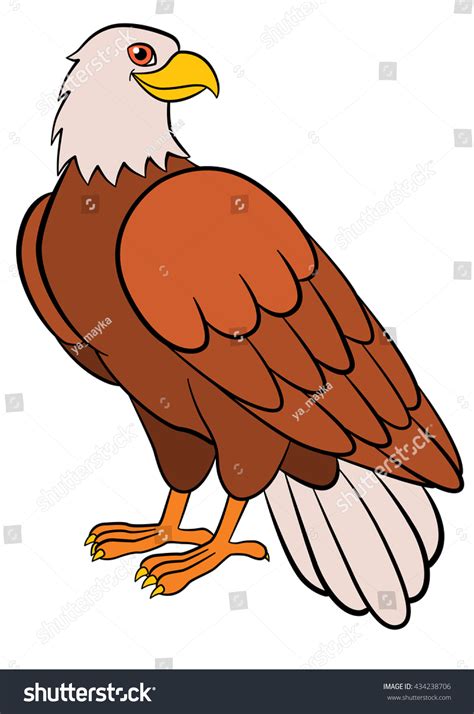 Cartoon Birds Kids Eagle Cute Bald Stock Vector (Royalty Free ...