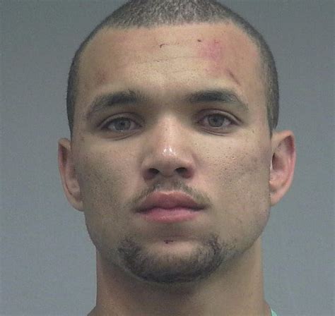 Gainesville man arrested after punching cop