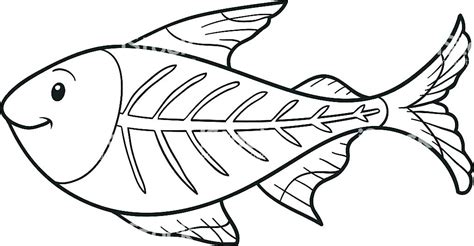 X Ray Fish Coloring Page at GetColorings.com | Free printable colorings pages to print and color