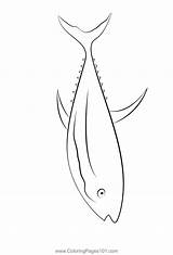 New Tuna Fish Coloring Page For Kids  Free Printable sketch template