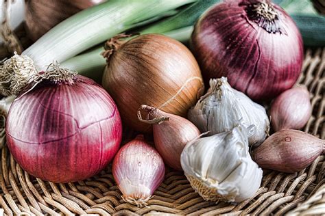 The Allium Vegetable Family Prevents Cancer | greenyoots