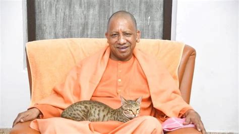 A cat in Yogi Adityanath's lap and his message in tweet: 'Even animals ...