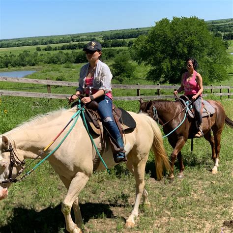 TRAIL RIDES - Maverick Horseback Riding