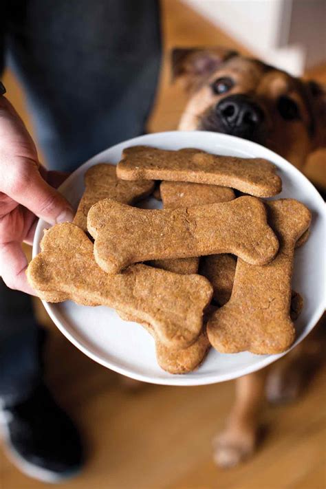 YUMMY PEANUT BUTTER HONEY DOG TREATS – Dogs Go Wuff | Official Website