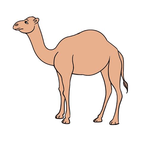 How to Draw a Camel - Really Easy Drawing Tutorial