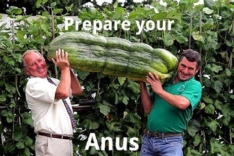 Cucumber - Meme by baireyman :) Memedroid