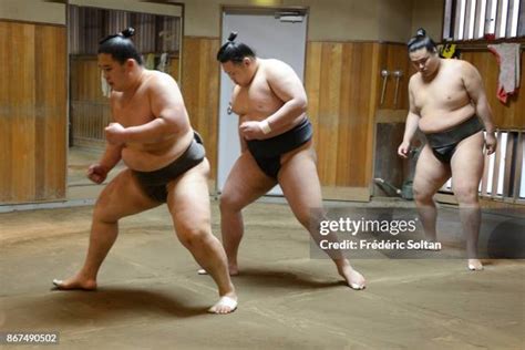 Sumo Wrestlers Training Photos and Premium High Res Pictures - Getty Images