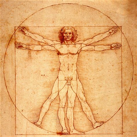 El Hombre de Vitruvio (de Leonardo da Vinci) | Da vinci vitruvian man ...