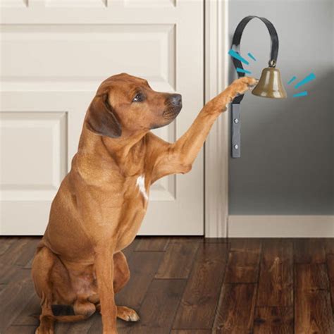 〖Hellobye〗Pet Bell Dog Training Doorbell Supplies Hanging Bell For Potty Training - Walmart.com