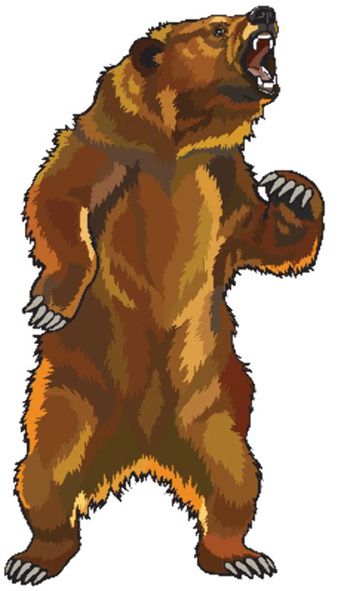 Download High Quality bear clipart grizzly Transparent PNG Images - Art ...