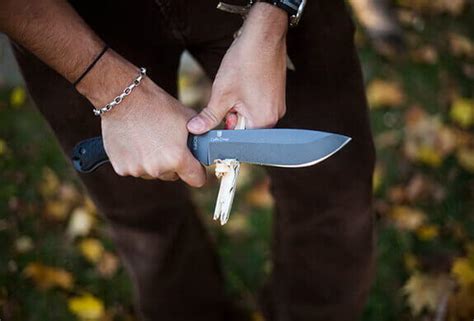 Top 10: Best Survival Knives 2018 - Buyer's Guide & Reviews