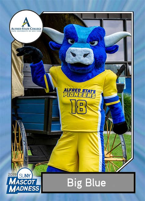 2019 SUNY Mascot Madness: The competitors