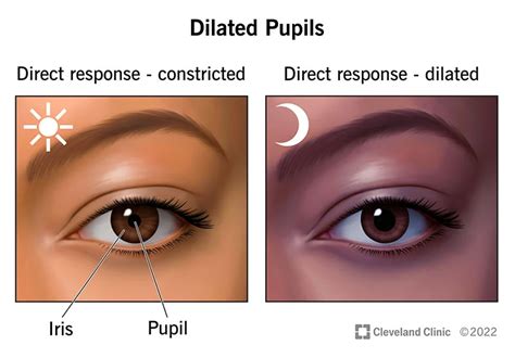 Eye Dilation: Know Its Importance & Details – My Blog