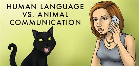 Differences Between Animal and Human Communication - Owlcation