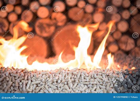 Pellets in flames stock photo. Image of object, closeup - 125799898