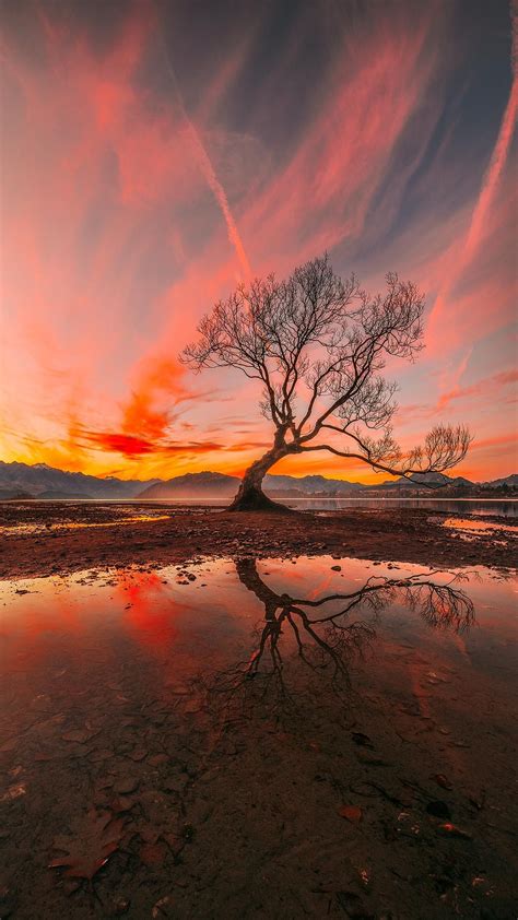 The Tree, Wanaka, New Zealand, Vertical Panorama [2048x1152] Landscape Photography Tips ...