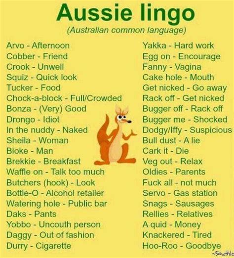 ɹǝpun uʍop ɯoɹɟ dɯnp ɐ | Australia funny, Australia slang, Funny australian